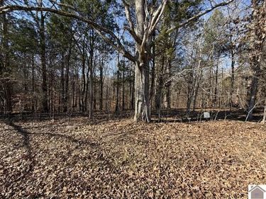 Lot 46 Bayridge Road, New Concord, KY 42076