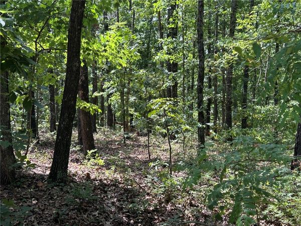 00000 Cranbrook Lane , Bella Vista, AR 72714