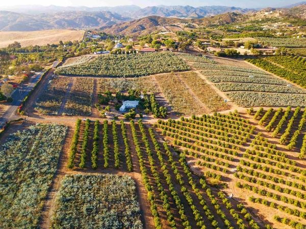 31817 Via Ararat Drive , Bonsall, CA 92003