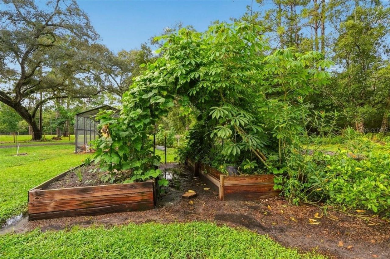 22256 Cheraton Road, Brooksville, FL 34602 Photo