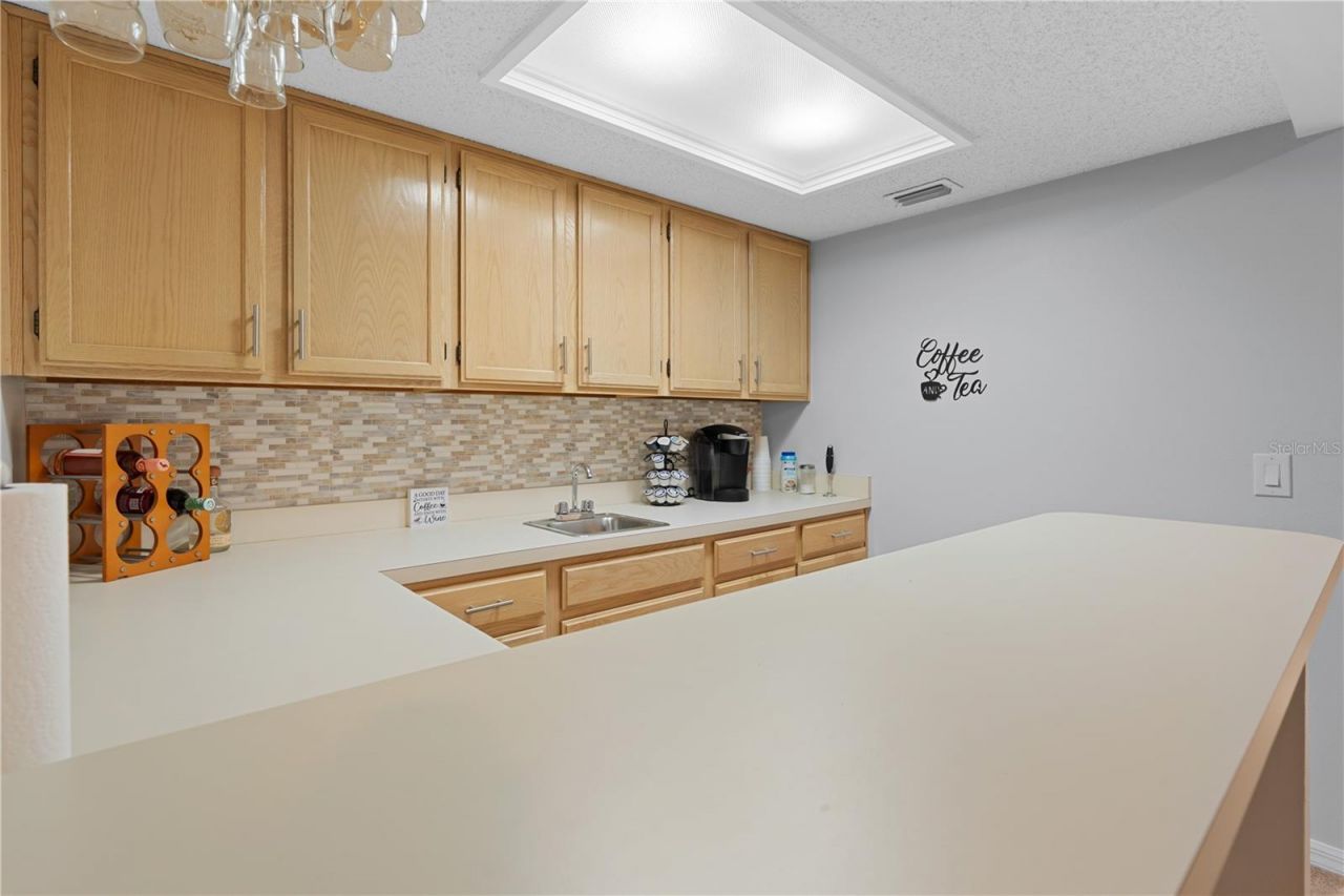 2553 Mason Oaks Drive, Valrico, FL 33596 Photo
