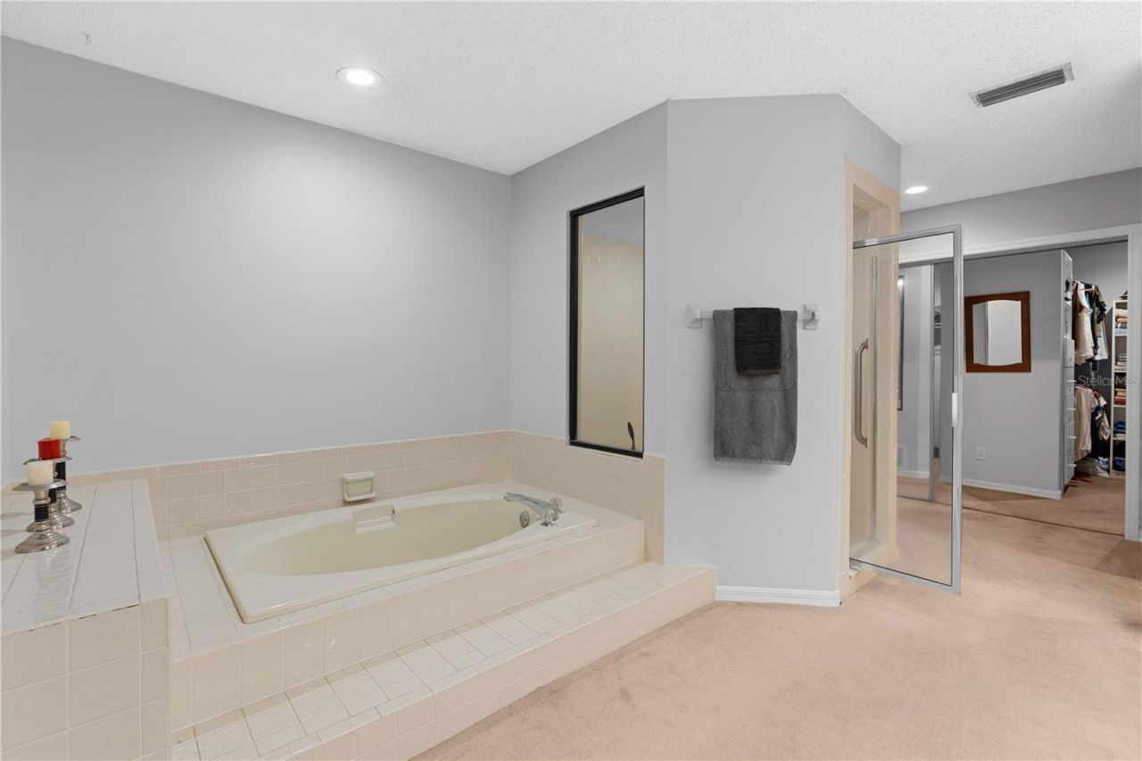 2553 Mason Oaks Drive, Valrico, FL 33596 Photo