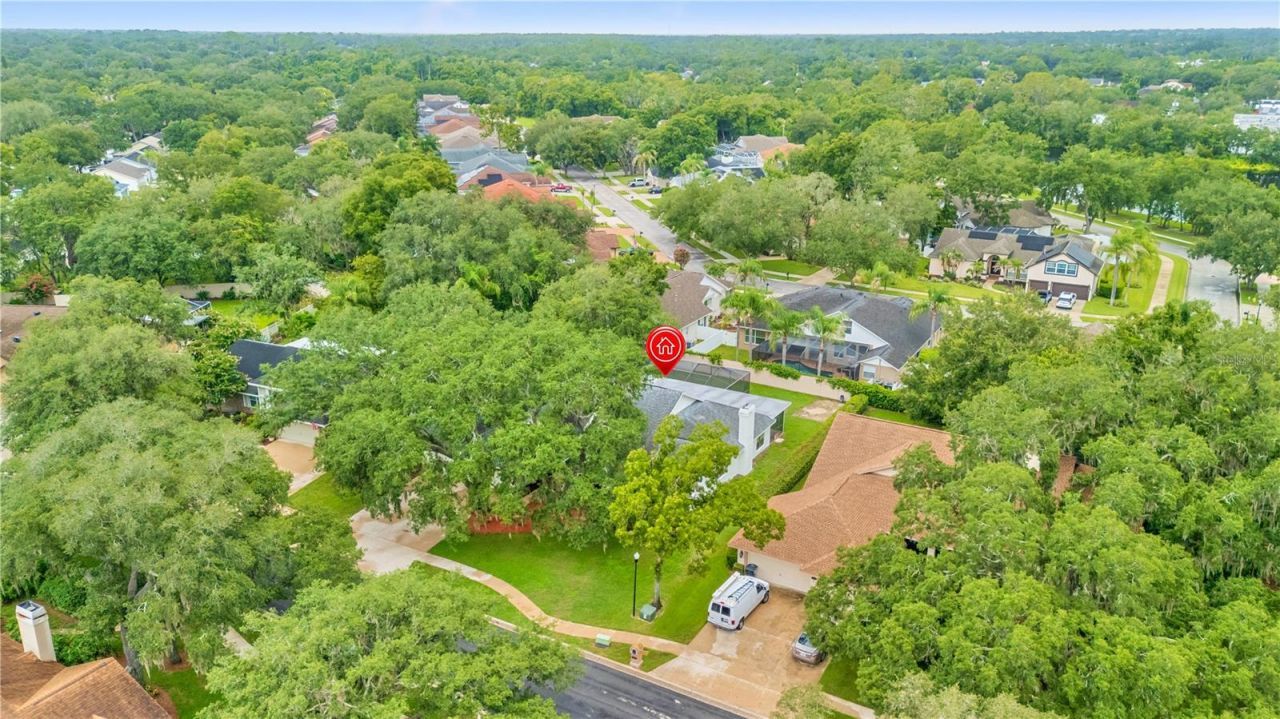 2553 Mason Oaks Drive, Valrico, FL 33596 Photo