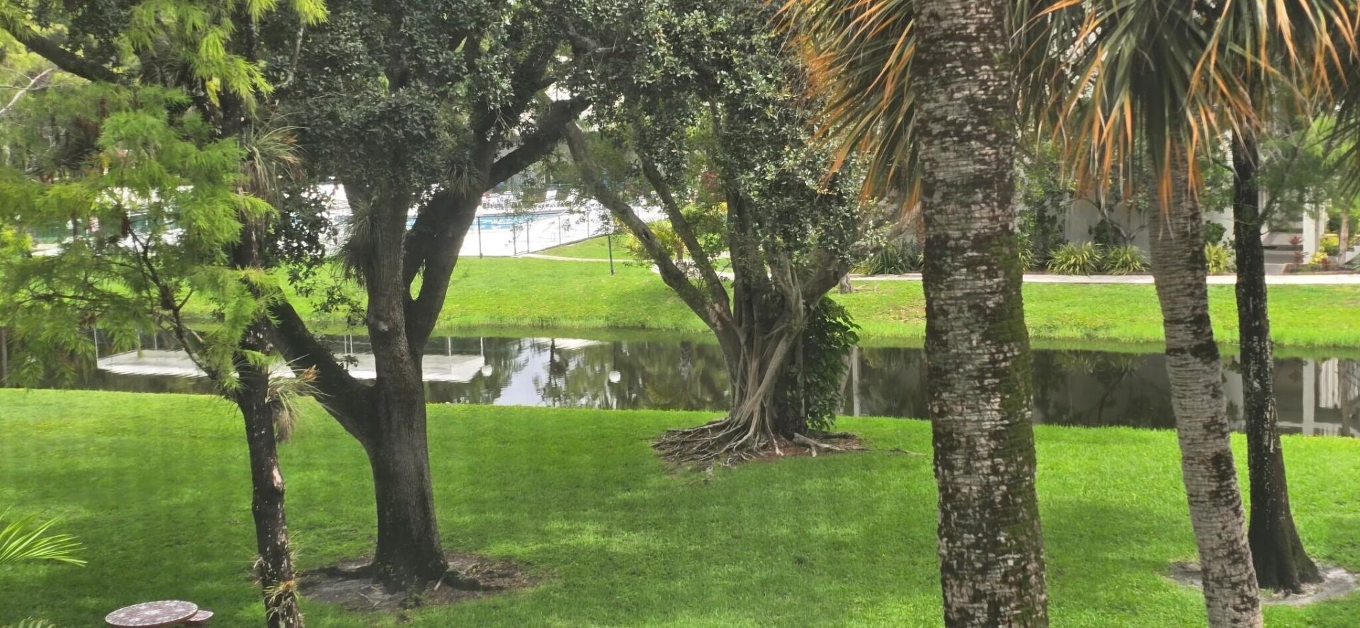 4851 NW 26th Court, Unit 338, Lauderdale Lakes, FL 33313 Photo
