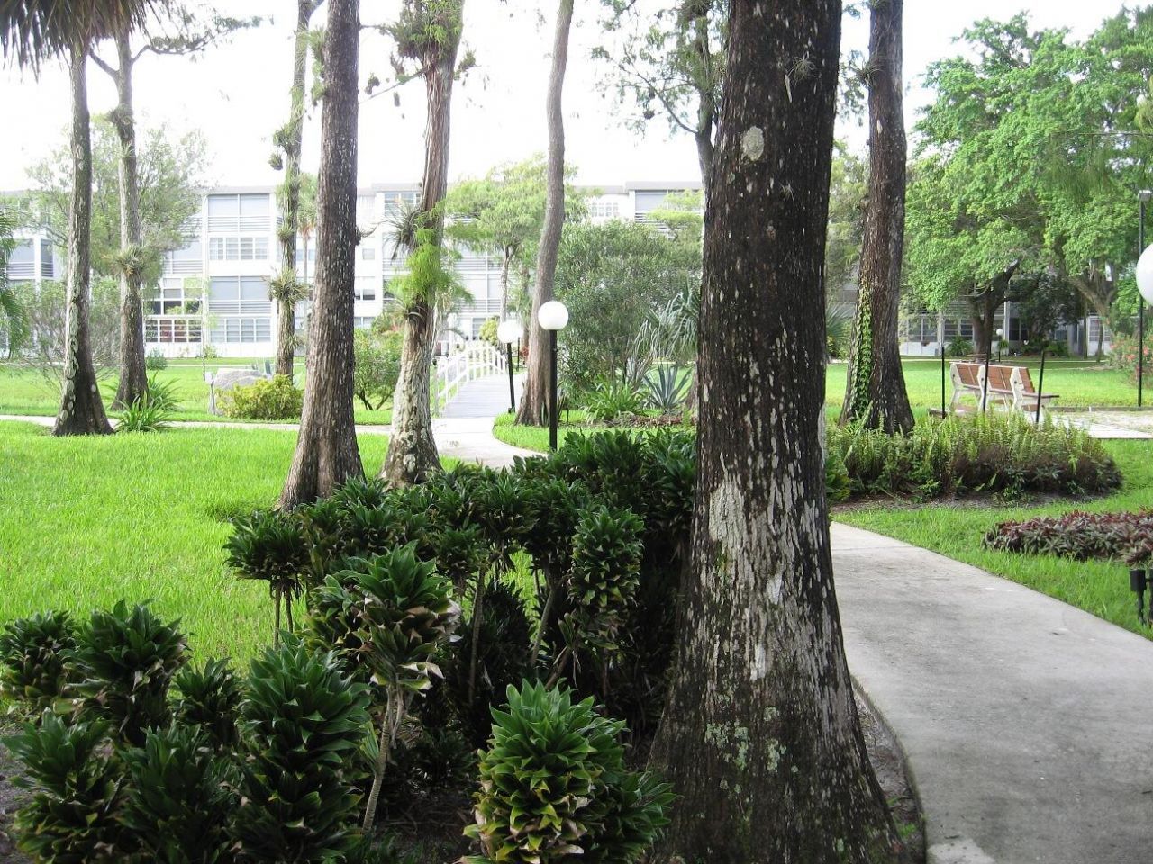 4851 NW 26th Court, Unit 338, Lauderdale Lakes, FL 33313 Photo