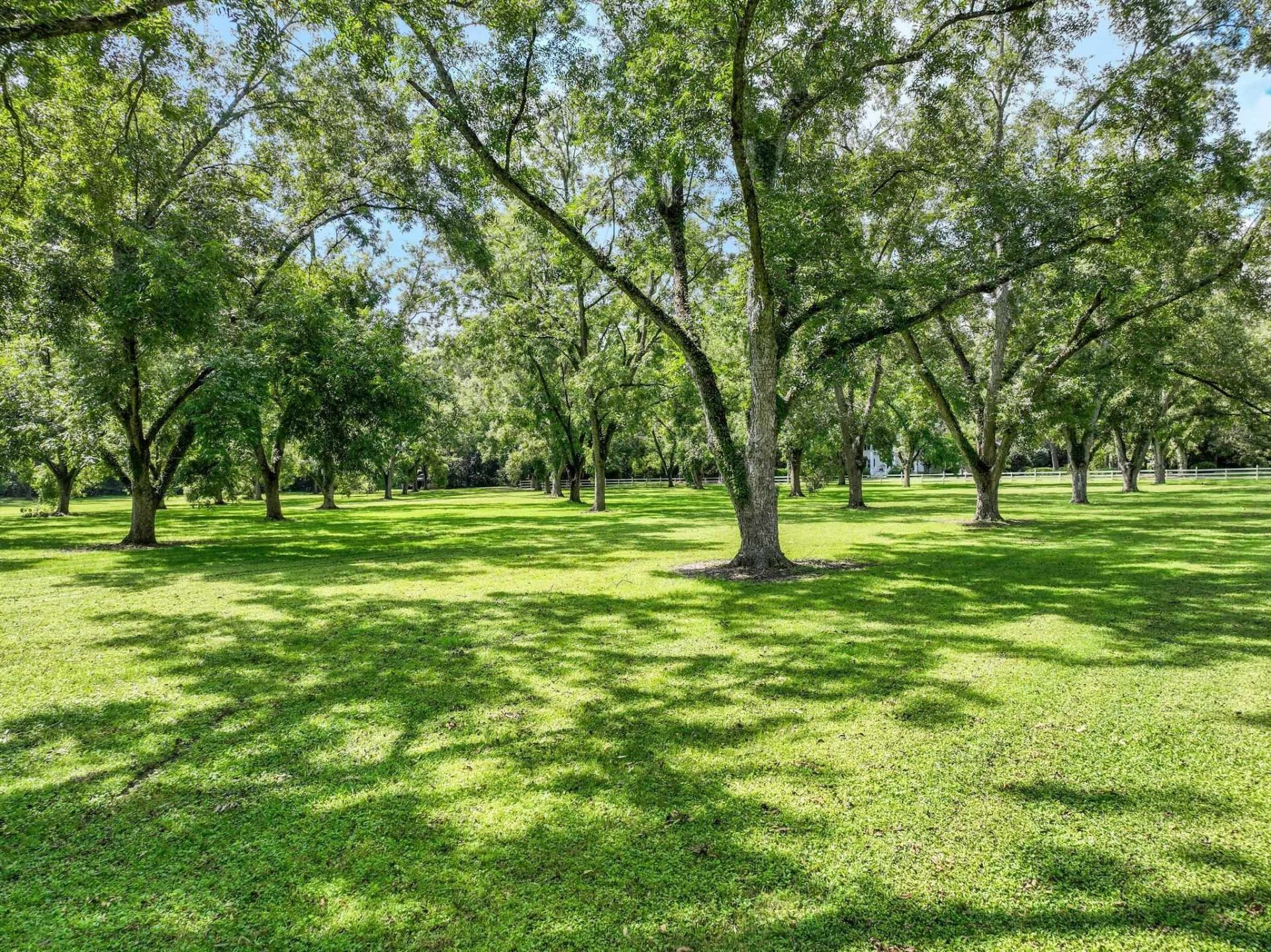 1244 Salem Road, Havana, FL 32333 Photo