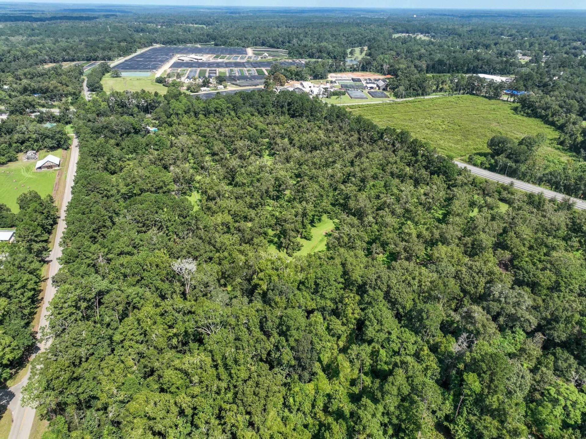 1244 Salem Road, Havana, FL 32333 Photo