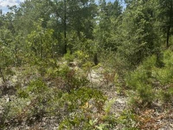 4 Daffodil Court, Mossy Head, FL 32434