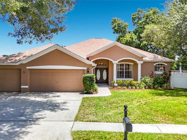 2866 DUNCAN TREE CIRCLE , VALRICO, FL 33594