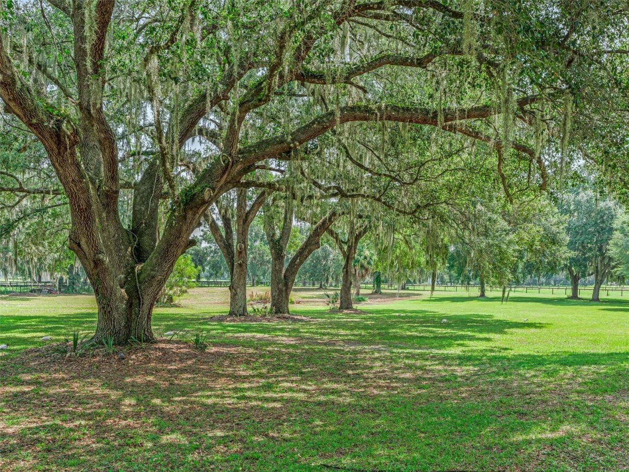 1539 SE 34th Way, Sumterville, FL 33585 Photo