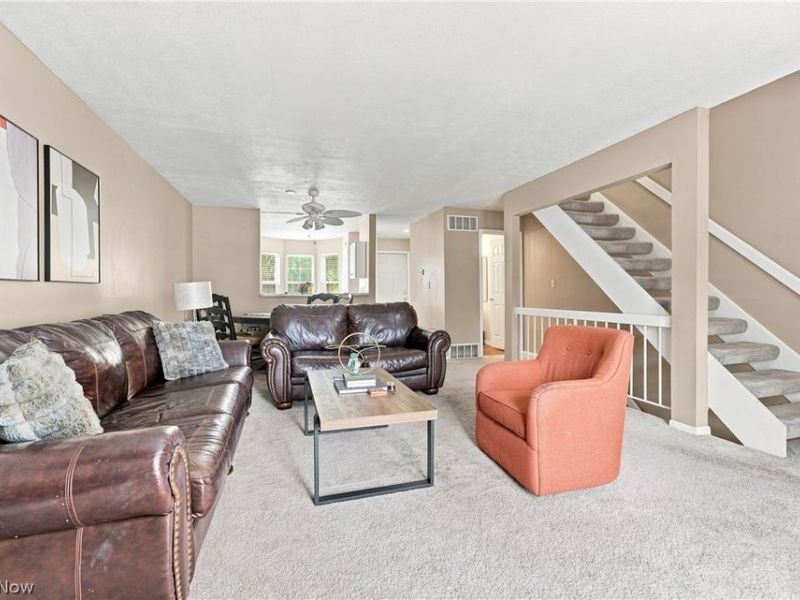 6953 Tippecanoe Road, Canfield, OH 44406 Photo 6