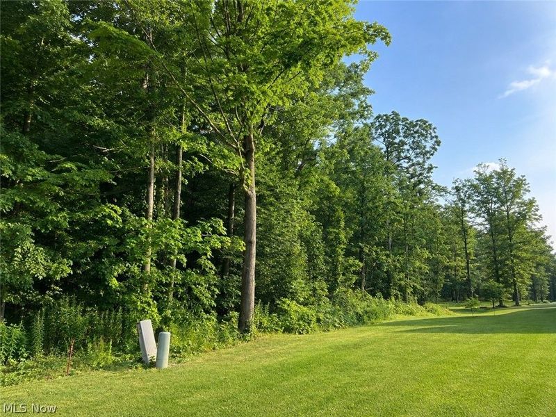 35 Stony Brook Lane, Wakeman, OH 44889 Photo 3