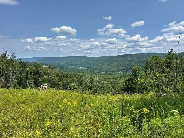 Jang Soo Way , North Blenheim, NY 12131