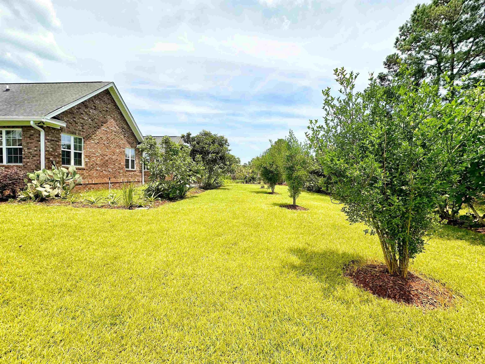 9729 Armelise Dr. Photo 10