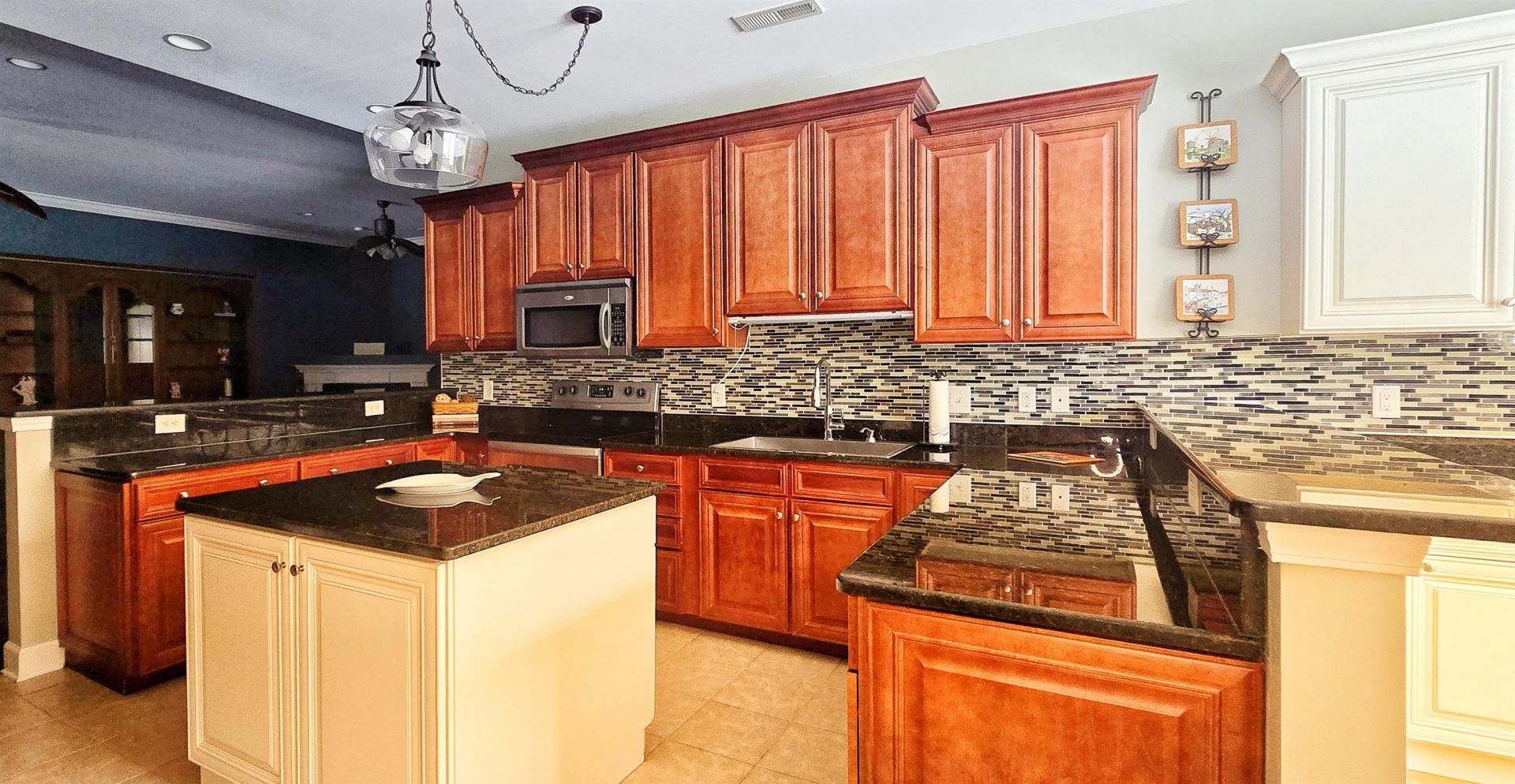 9729 Armelise Dr. Photo 25