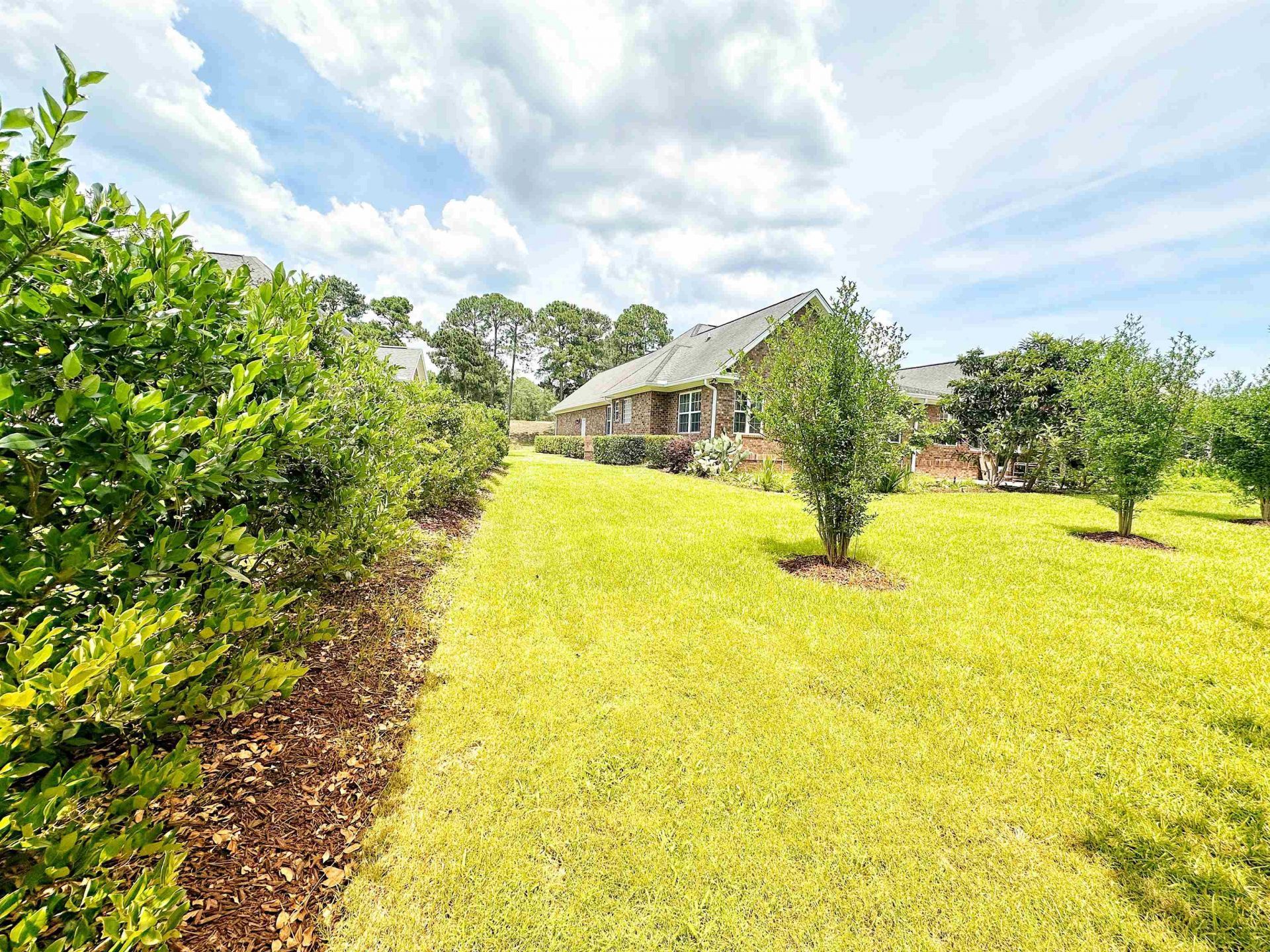 9729 Armelise Dr. Photo 5