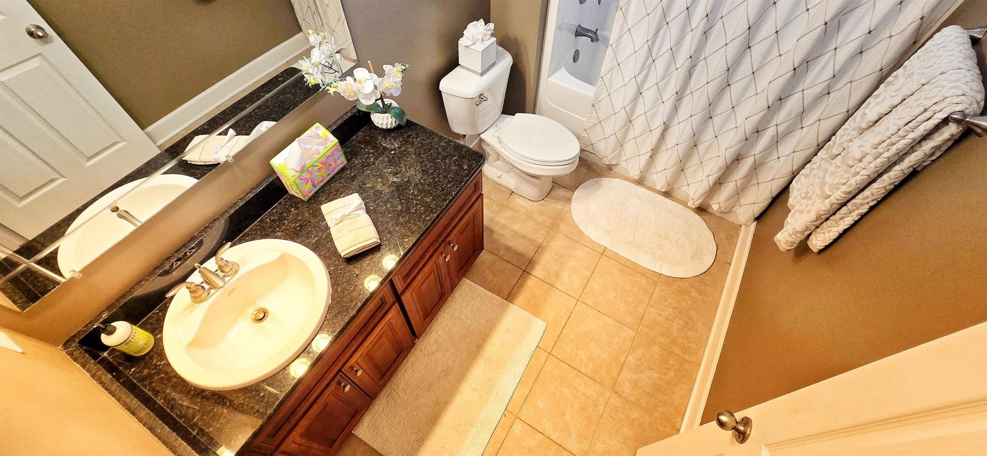 9729 Armelise Dr. Photo 50