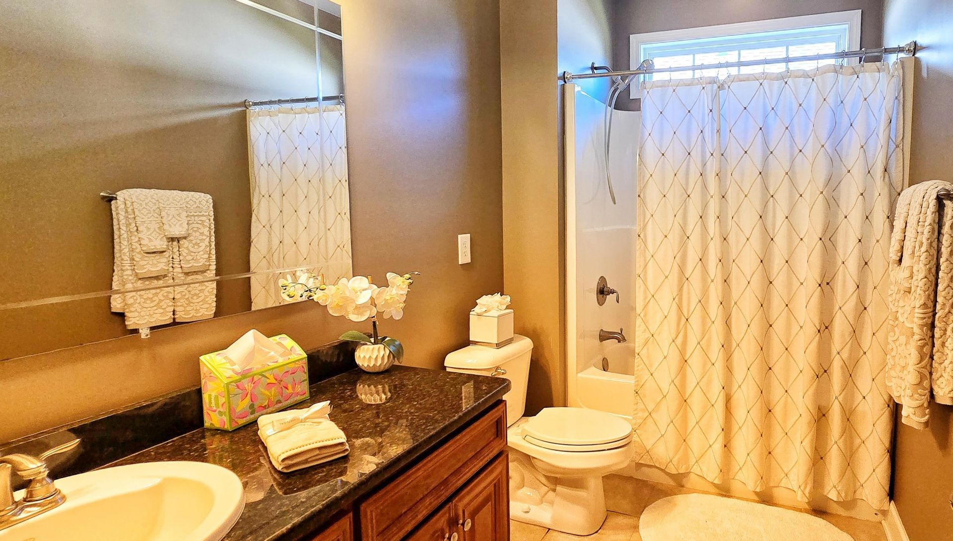 9729 Armelise Dr. Photo 51