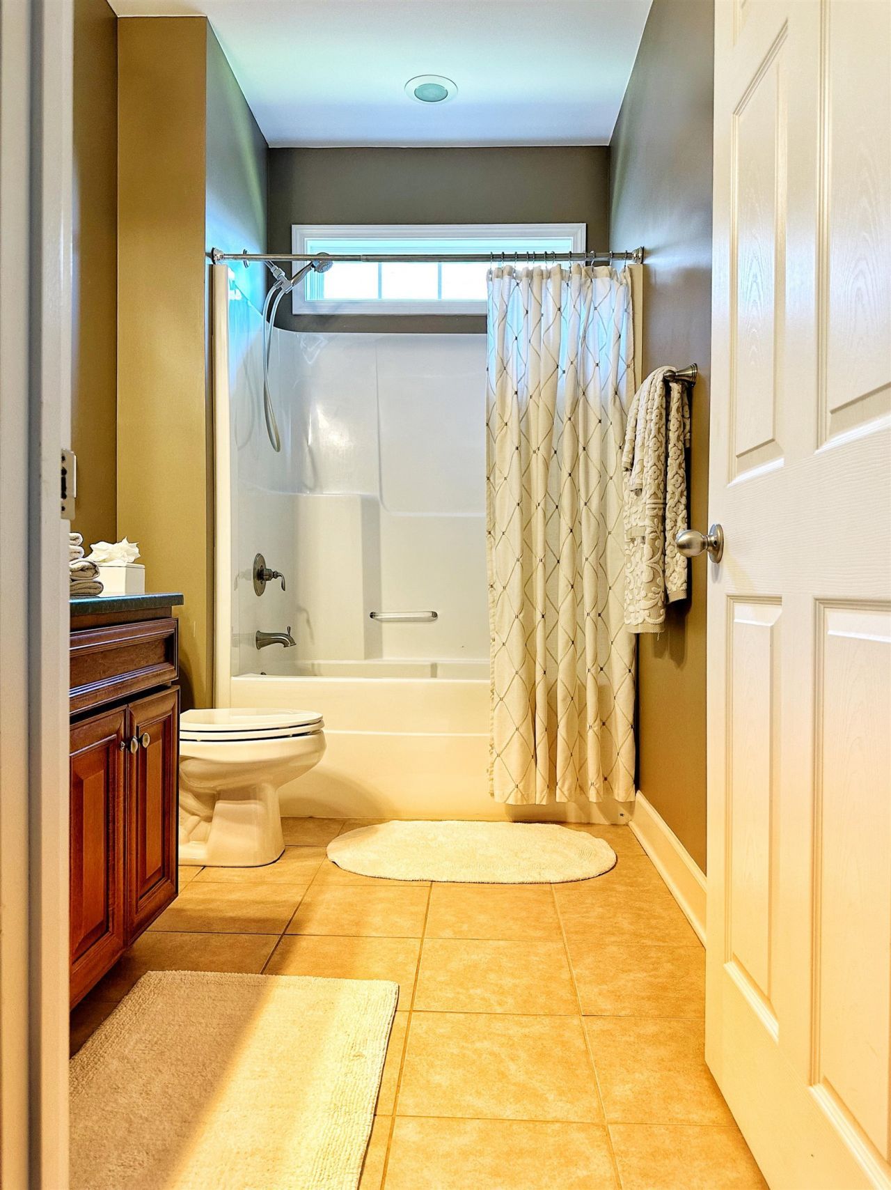 9729 Armelise Dr. Photo 54