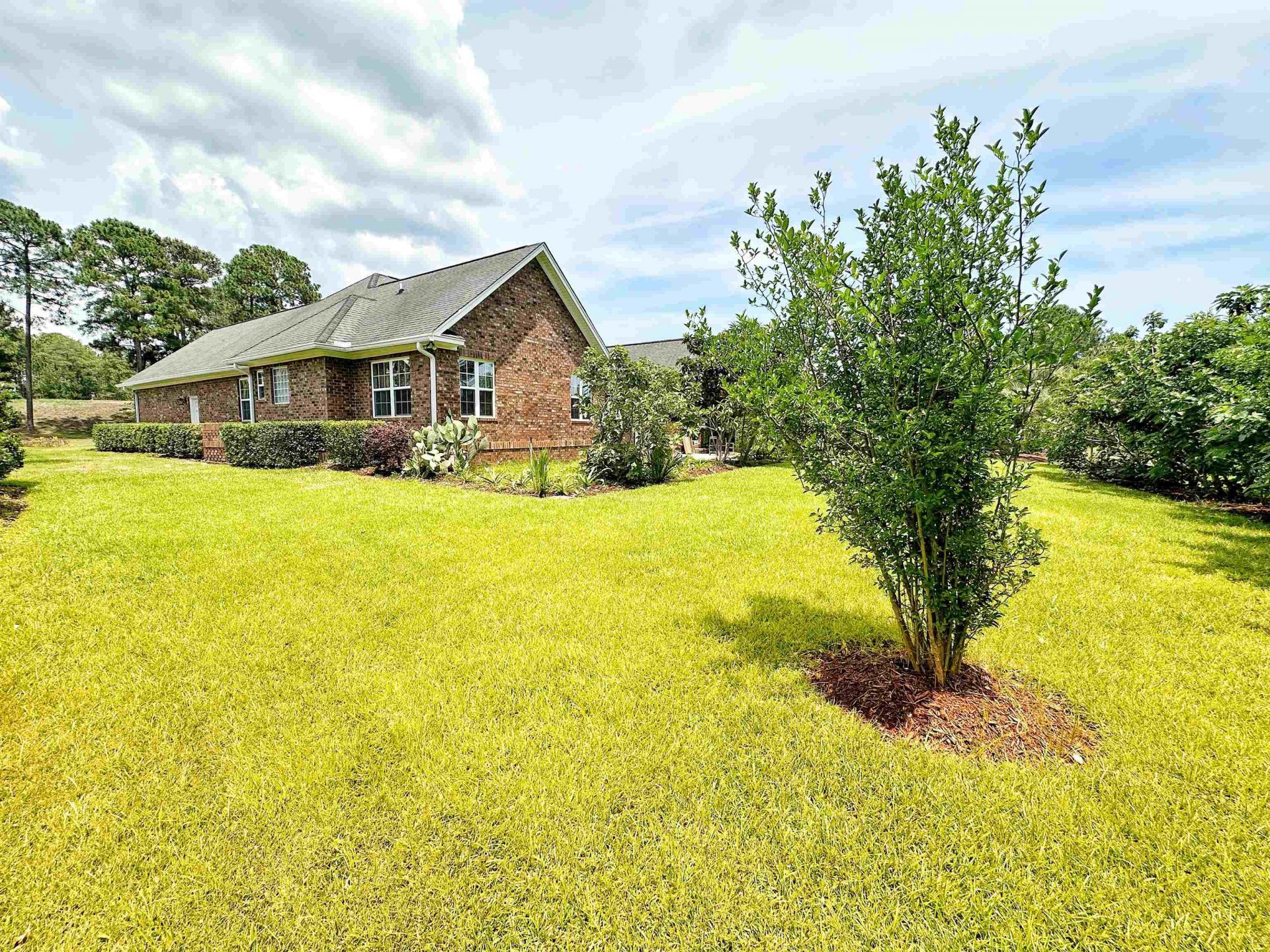 9729 Armelise Dr. Photo 8