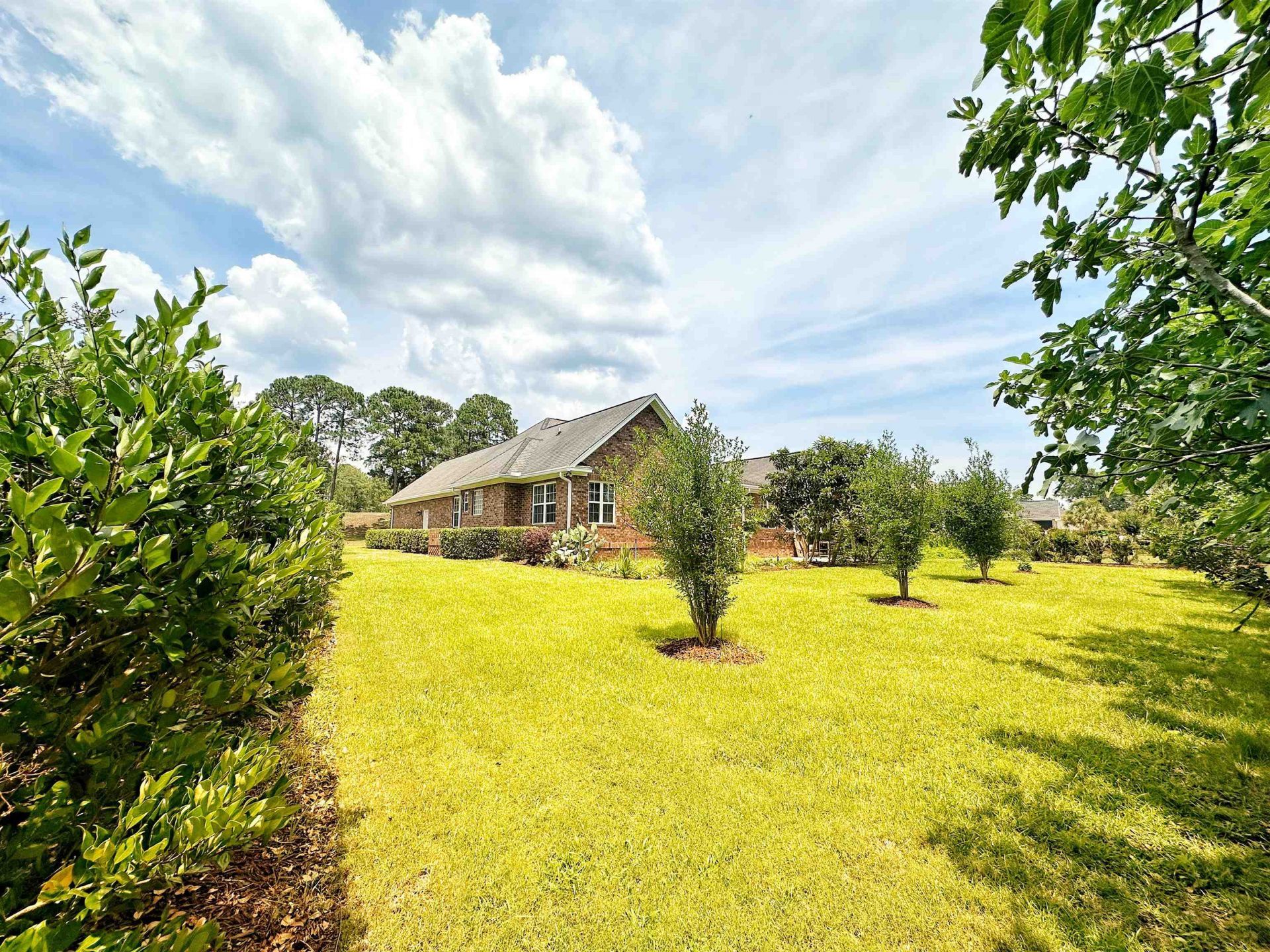 9729 Armelise Dr. Photo 9