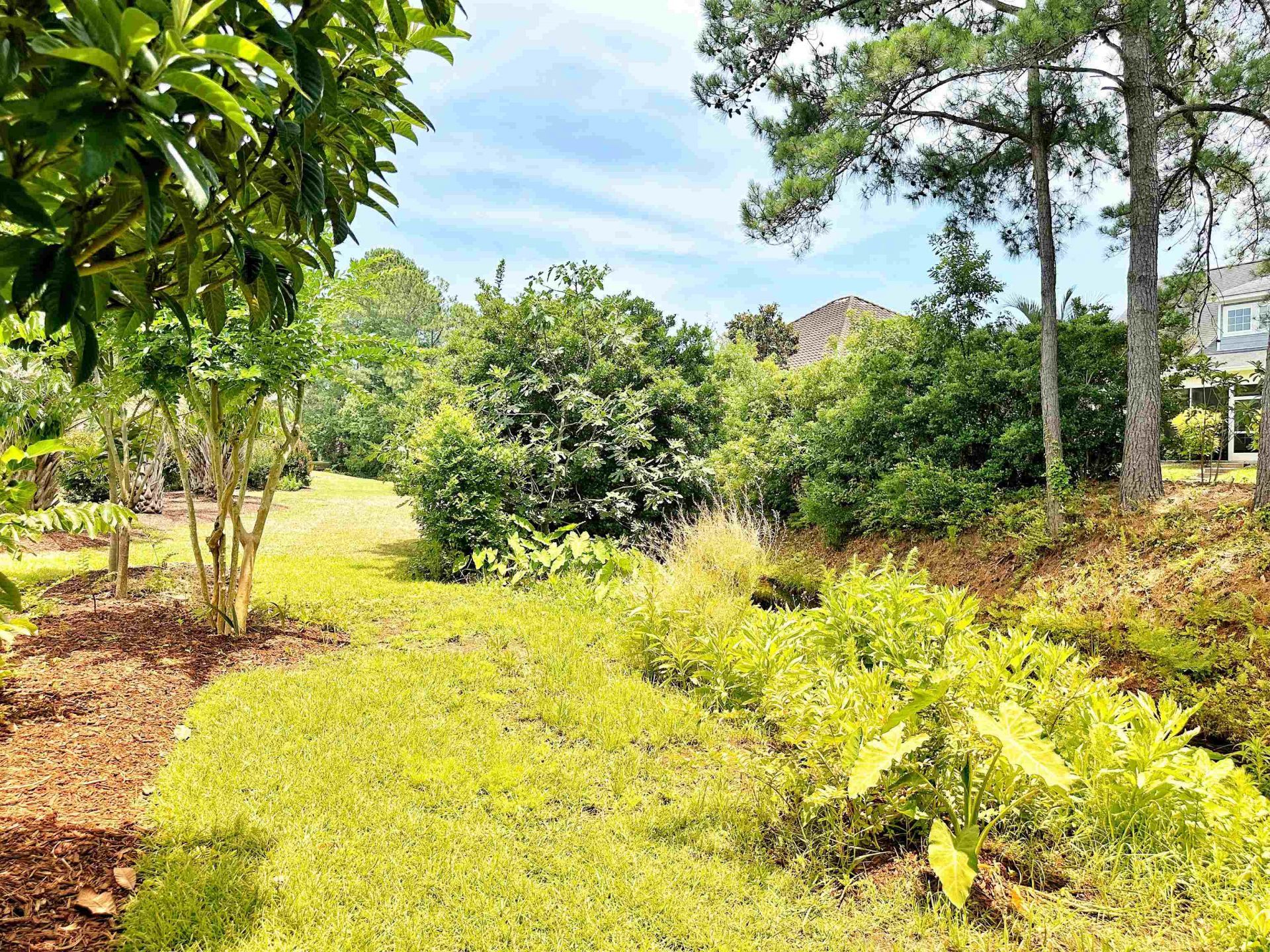 9729 Armelise Dr. Photo 95