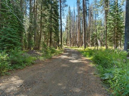 20414 Us Highway 50, South Lake Tahoe, CA 96155 Photo