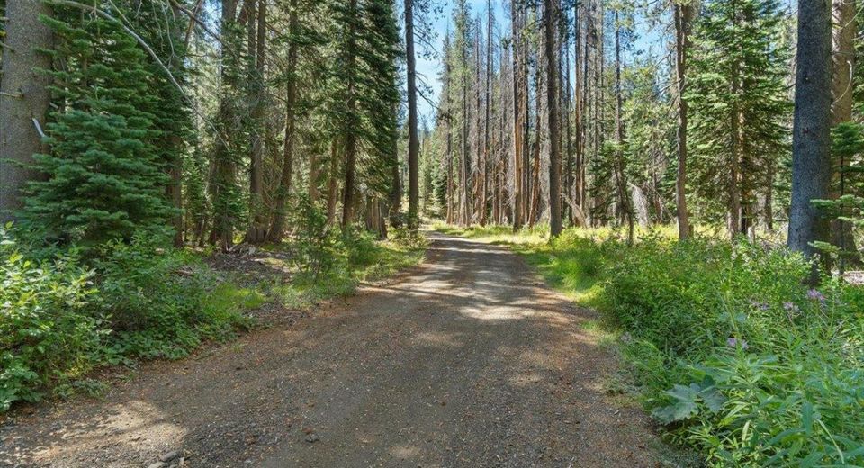 20414 Us Highway 50, South Lake Tahoe, CA 96155 Photo