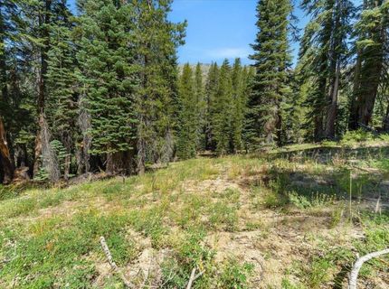 20414 Us Highway 50, South Lake Tahoe, CA 96155 Photo