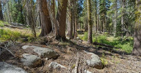 20414 Us Highway 50, South Lake Tahoe, CA 96155 Photo