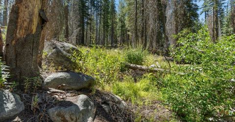 20414 Us Highway 50, South Lake Tahoe, CA 96155 Photo