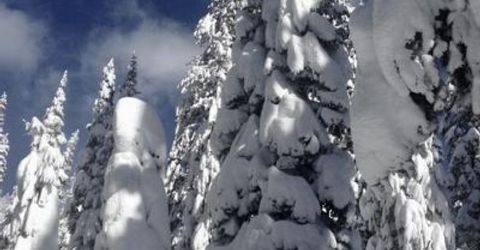 20414 Us Highway 50, South Lake Tahoe, CA 96155 Photo