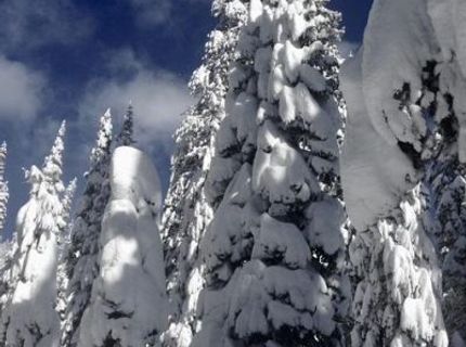 20414 Us Highway 50, South Lake Tahoe, CA 96155 Photo