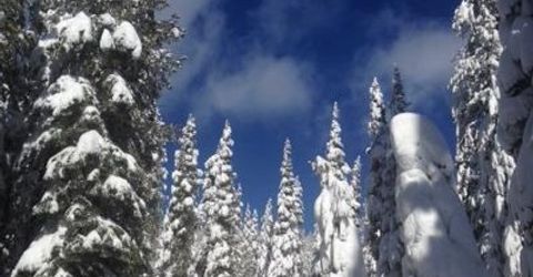 20414 Us Highway 50, South Lake Tahoe, CA 96155 Photo