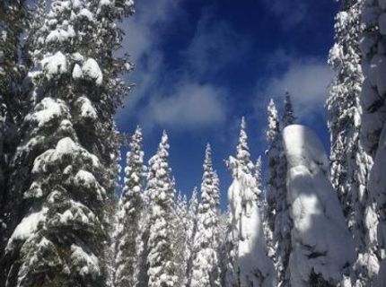 20414 Us Highway 50, South Lake Tahoe, CA 96155 Photo