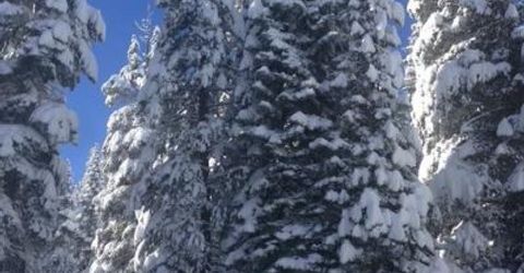 20414 Us Highway 50, South Lake Tahoe, CA 96155 Photo