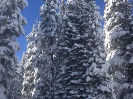 20414 Us Highway 50, South Lake Tahoe, CA 96155 Photo