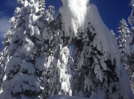 20414 Us Highway 50, South Lake Tahoe, CA 96155 Photo