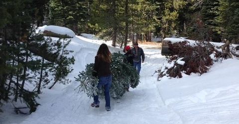 20414 Us Highway 50, South Lake Tahoe, CA 96155 Photo