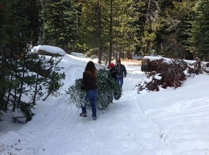 20414 Us Highway 50, South Lake Tahoe, CA 96155 Photo