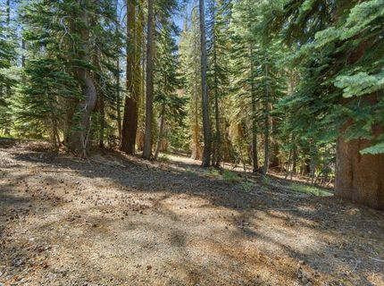 20414 Us Highway 50, South Lake Tahoe, CA 96155 Photo