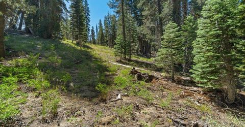 20414 Us Highway 50, South Lake Tahoe, CA 96155 Photo