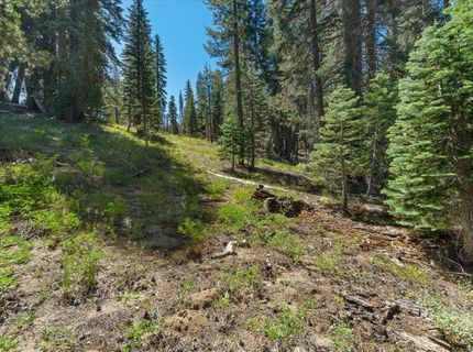 20414 Us Highway 50, South Lake Tahoe, CA 96155 Photo