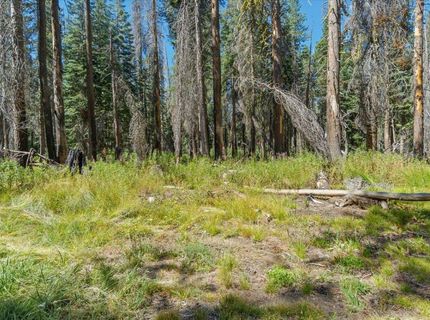20414 Us Highway 50, South Lake Tahoe, CA 96155 Photo