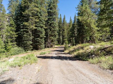 20414 Us Highway 50, South Lake Tahoe, CA 96155 Photo
