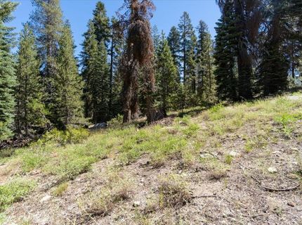 20414 Us Highway 50, South Lake Tahoe, CA 96155 Photo