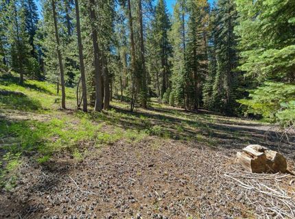 20414 Us Highway 50, South Lake Tahoe, CA 96155 Photo