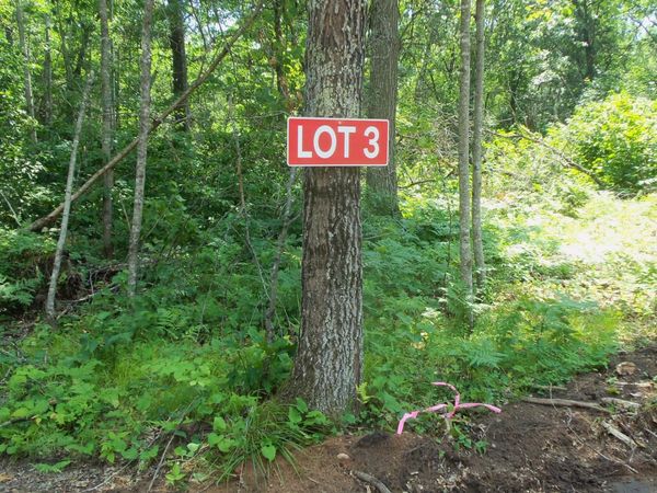 Lot 3 Birch Tree Trl, Spooner, WI 54801