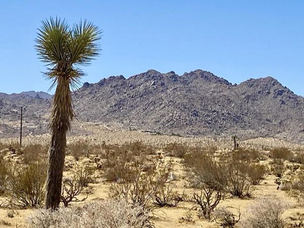 109 Border Avenue , Joshua Tree, CA 92252