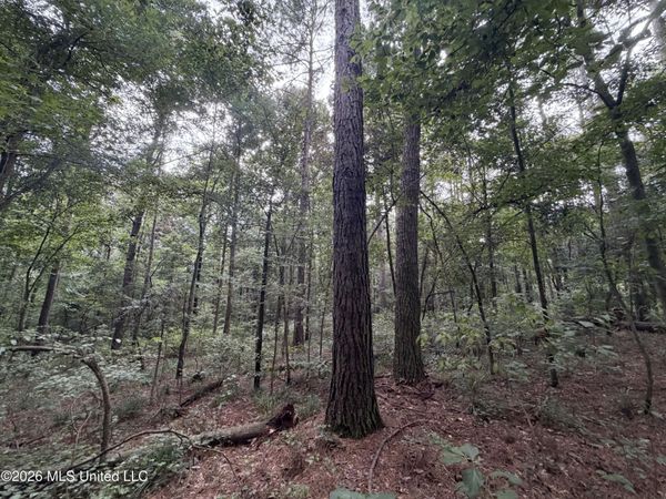 Shiloh Road, Pelahatchie, MS 39145